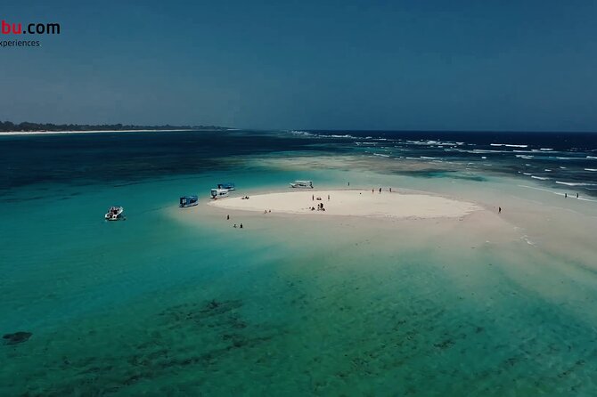 Diani Beach: Glass-bottom Boat Ride with Underwater Show - What the $30 price really covers