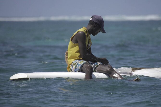 Diani Beach: Glass-bottom Boat Ride with Underwater Show - Who will enjoy this Diani outing most