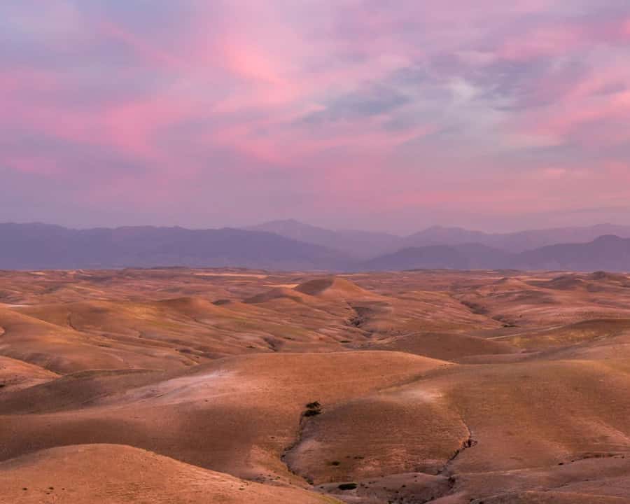 Dinner at Agafay Desert In Berber Camp with Sunset And Show - Key points at a glance