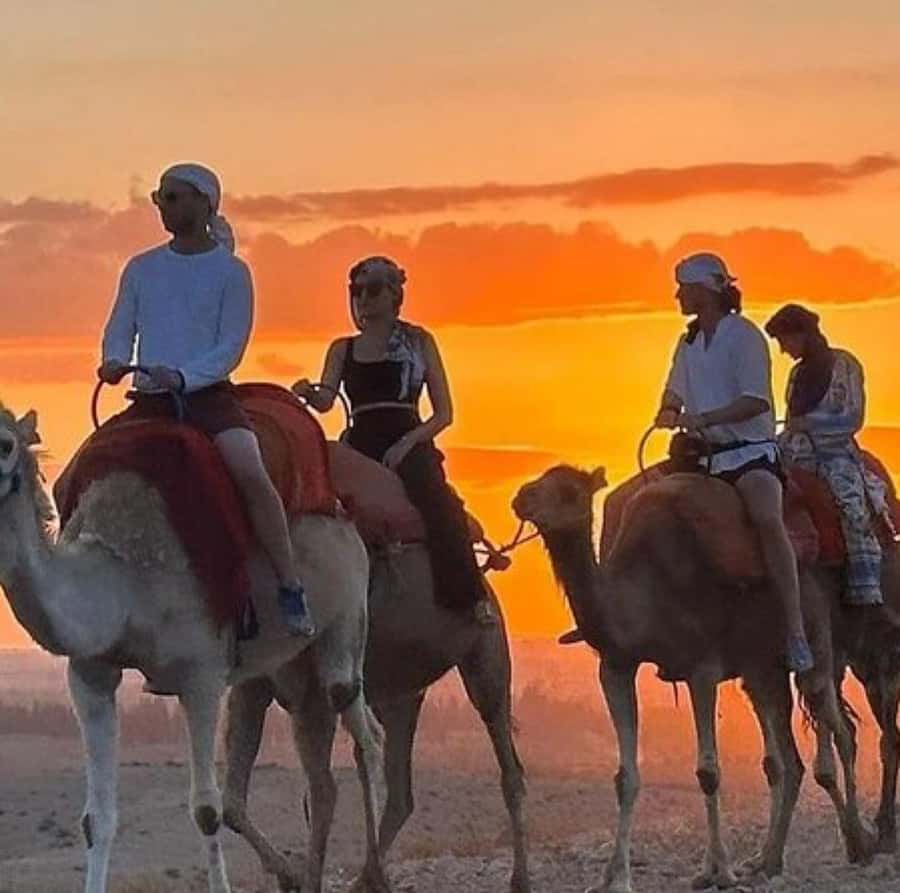 DINNER IN AGAFAY DESERT UNDER THE STARS WITH SHOW AND CAMELS - The guides who keep the evening moving