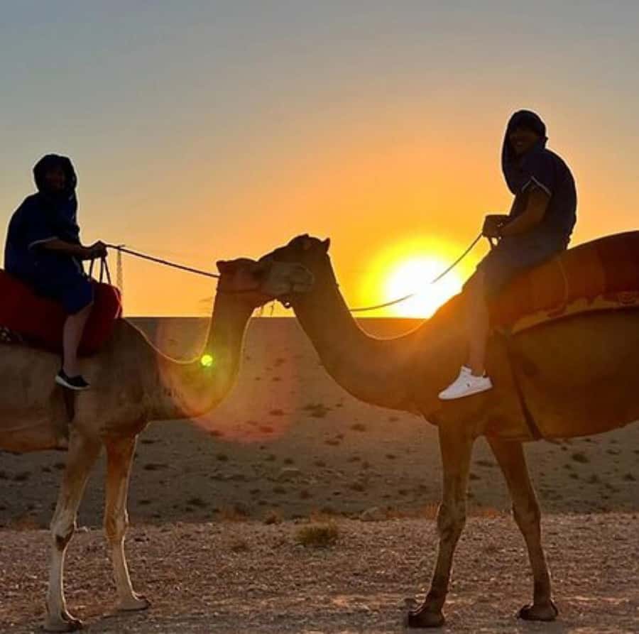 DINNER IN AGAFAY DESERT UNDER THE STARS WITH SHOW AND CAMELS - Leaving Marrakech in an air-conditioned vehicle