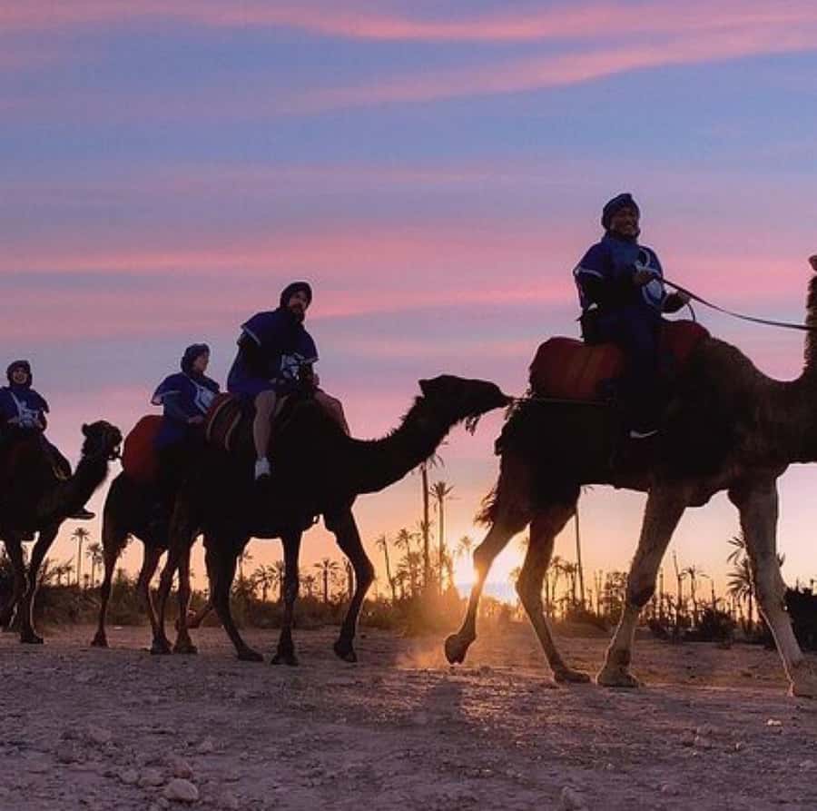 Dinner show in agafay Desert 1h quad bike & 20 min camels - Key points to know before booking