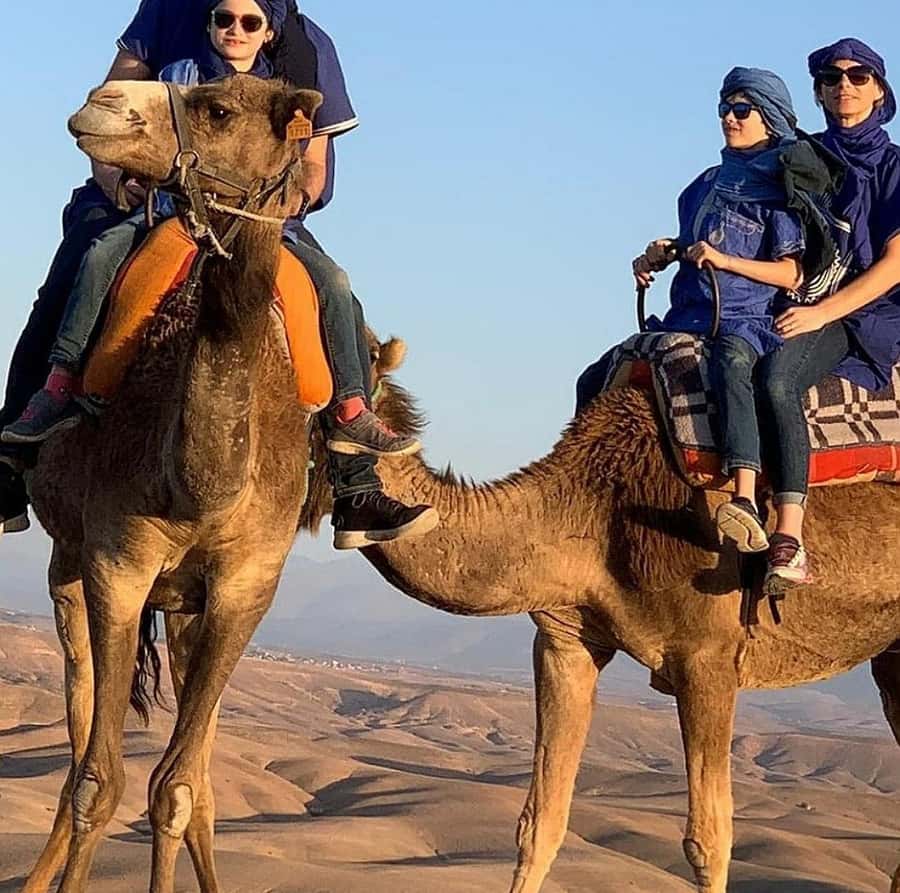 Dinner show in agafay Desert 1h quad bike & 20 min camels - Mint tea, the pool, and the argan stop