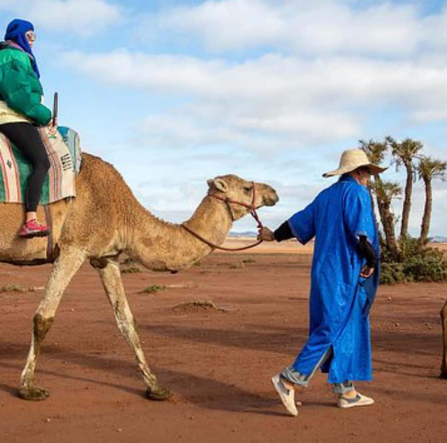 Dinner show in agafay Desert 1h quad bike & 20 min camels - Berber music, dancing, and the fire show