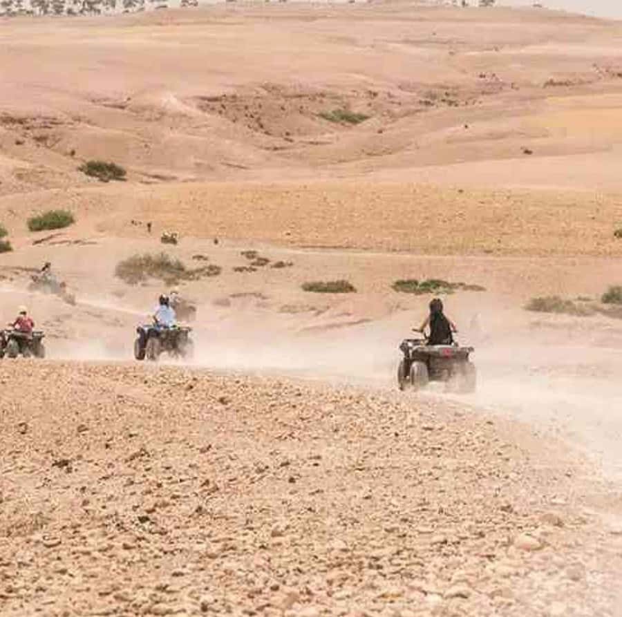 Dinner show in agafay Desert 1h quad bike & 20 min camels - The guides make the group experience better
