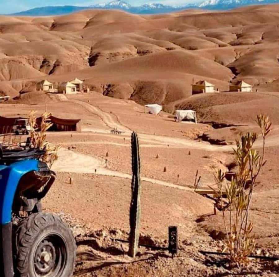Dinner show in agafay Desert 1h quad bike & 20 min camels - Who will get the most from this tour?