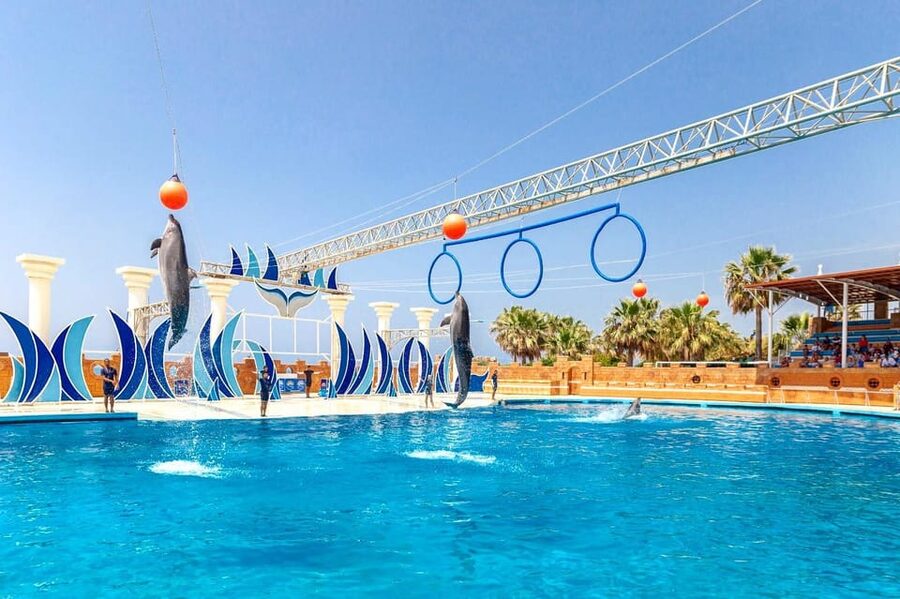 Dolphin Park Entry with Live Show and Pickup - FAQ
