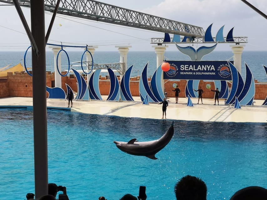 Dolphin Park Entry with Live Show and Pickup - Who will enjoy this outing most