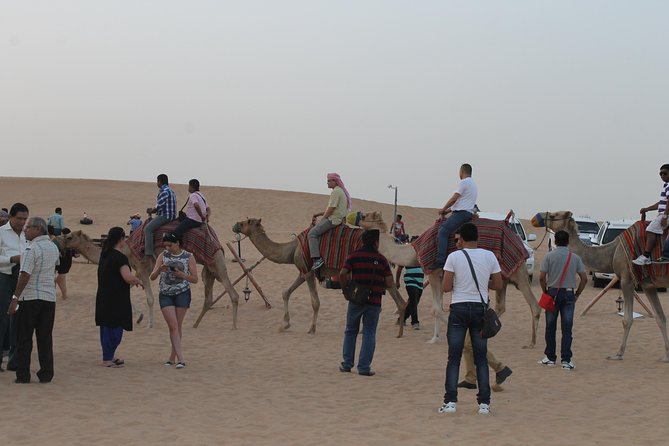 Dubai: Buggy Dune Bashing, Sand Boarding, Camel Ride & Show - Is the $99.20 price good value?