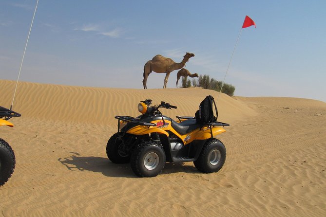 Dubai Desert Afternoon Quad Safari with Camel Ride, BBQ Dinner and Belly Dancing - Belly dancing and tanoura under the lights