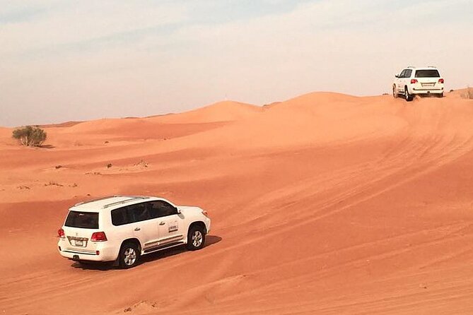 Dubai Desert Afternoon Safari with Camel Ride, BBQ Dinner, and Belly Dancing - Key details before you book