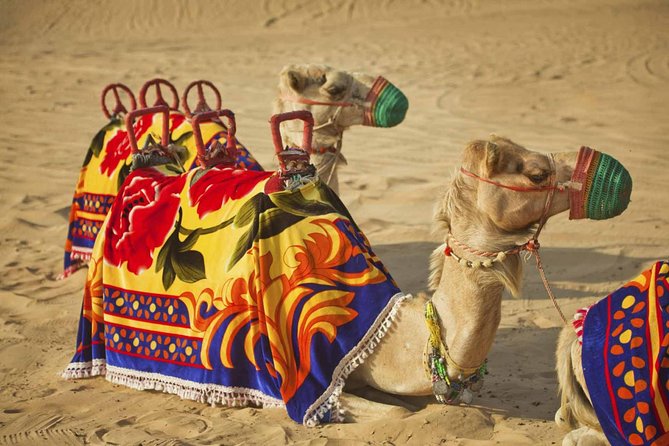 Dubai Desert Safari-BBQ Dinner, Belly Dance, Fire show - Is the $89 price good value?