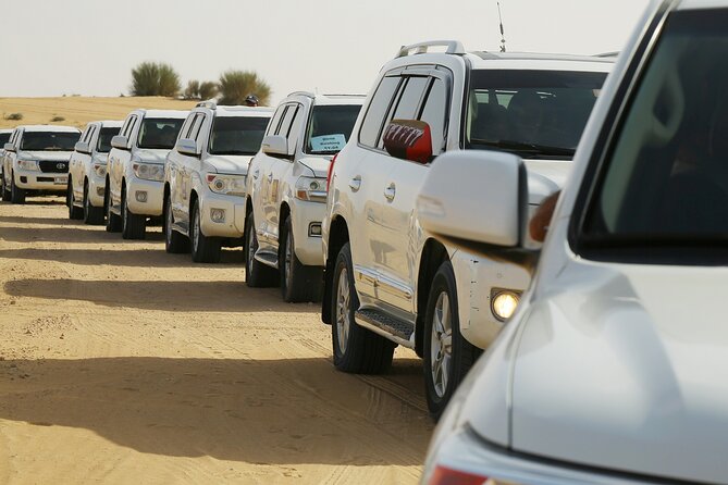 Dubai Desert Safari with Belly Dance, Fire Show and Tanura Show-The Full Package - Dune bashing and sandboarding in the red desert