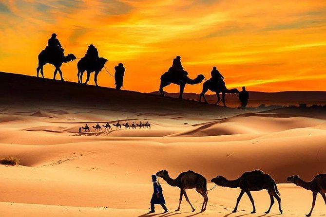 Dubai Desert Safari with Camel Ride, Show, BBQ and Transfers - Sunset on the dunes