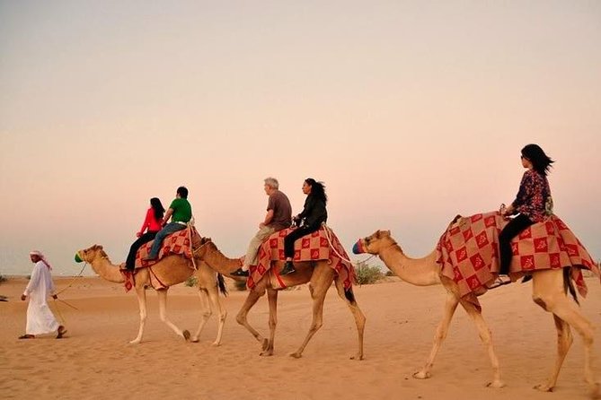 Dubai Desert Safari with Camel Riding and Belly Dance - From Dubai streets to Al Aveer sand