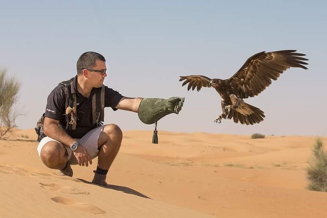 Dubai Desert Safari with Camel Riding and Belly Dance - Who will enjoy this six-hour evening