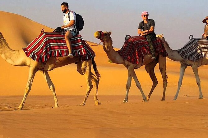 Dubai Desert Safari with Live Show, BBQ Dinner, Camel Ride & Sand Board Options - What the $65 price really covers