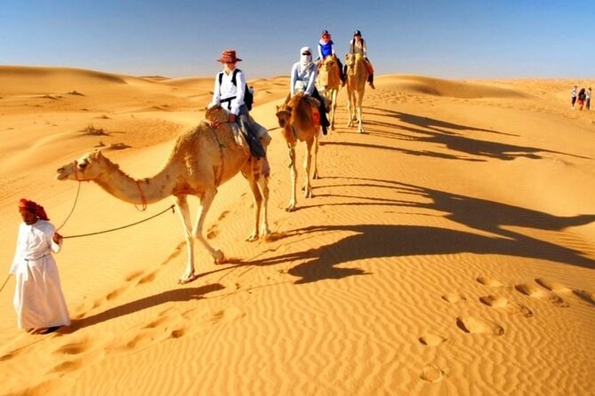 Dubai Desert Safari with Live Show, BBQ Dinner, Camel Ride & Sand Board Options - Timing, cancellations, and practical planning
