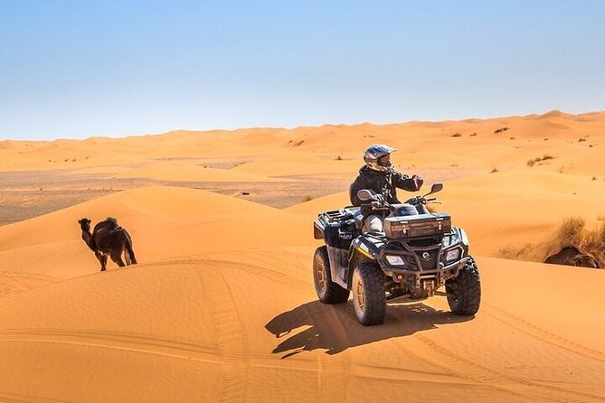 Dubai Evening Desert Safari with Quad bike, Dinner and Show - Key points to know before booking