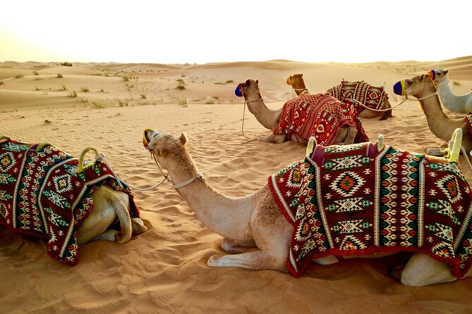 Dubai Evening Desert Safari with RedDune, sandboarding, live show - What the $60 price really covers