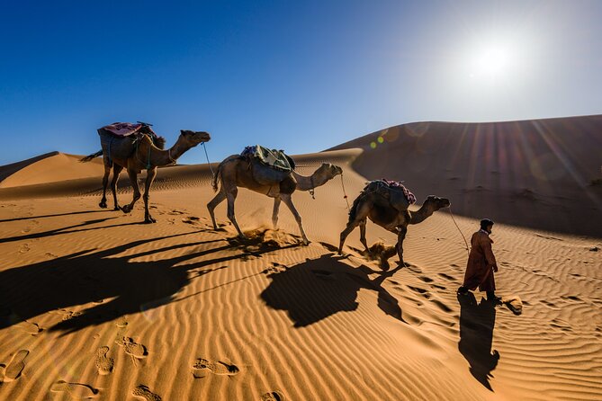 Dubai Evening Desert Safari with RedDune, sandboarding, live show - The camel ride is brief but useful for the setting