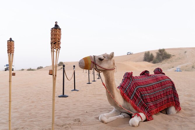 Dubai Premium Desert Safari with Dinner & Shows (Private Car) - Key points at a glance