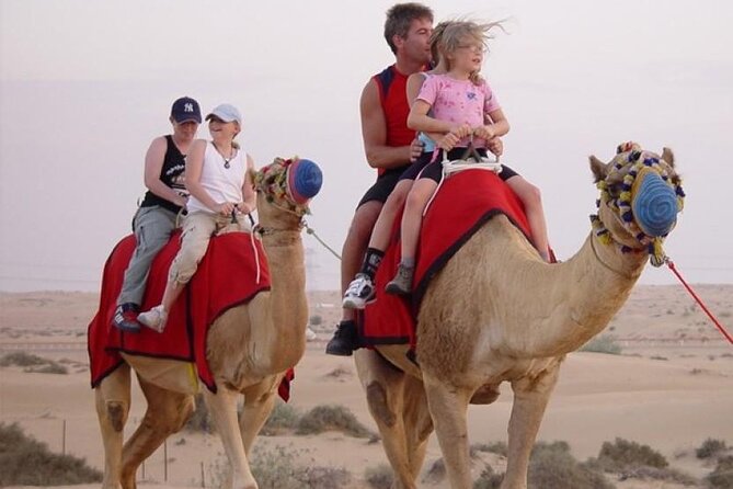 Dubai Premium Evening Desert Safari ATVs, Dinner & Shows - Thirty to thirty-five minutes of dune bashing