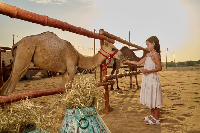 Dubai Private VIP Desert Dinner and Live Entertainment Show - Noble Camp and its souq entrance
