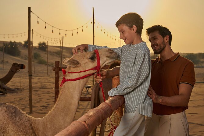 Dubai Private VIP Desert Dinner and Live Entertainment Show - Four courses and the Gold or Platinum choice