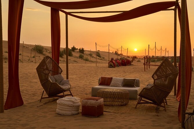 Dubai Private VIP Desert Dinner and Live Entertainment Show - Sandboarding and desert activities