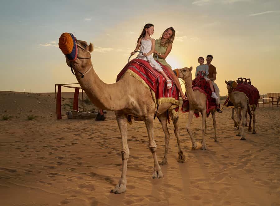 Dubai’s Best Desert Safari: Live Show & Gourmet BBQ Dinner - Key points at a glance
