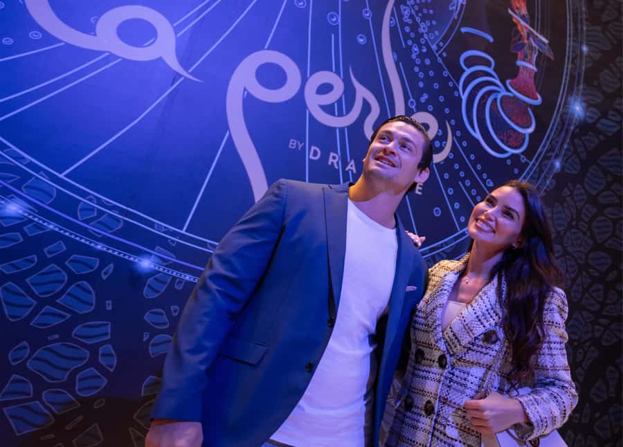 Dubai: Water Canal Cruise and La Perle Show with Dinner - My call on the cruise and show