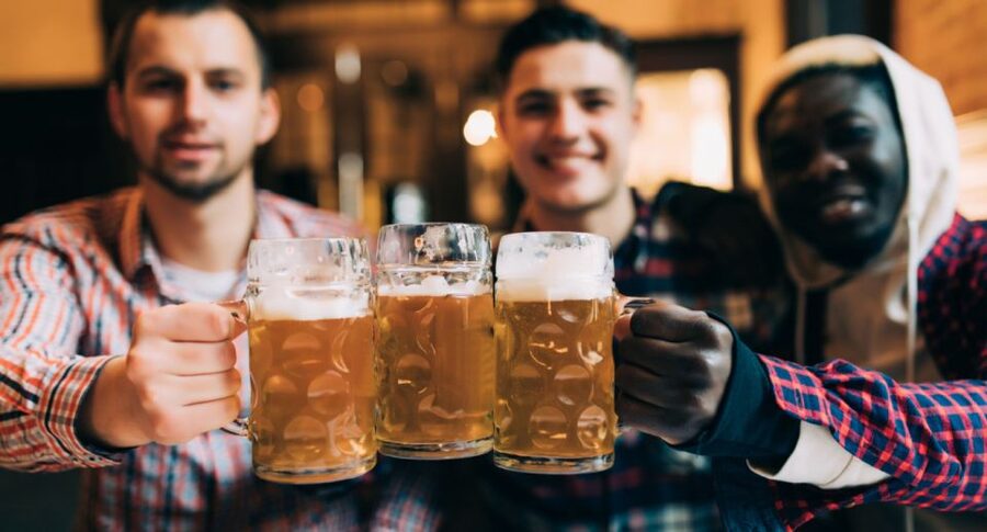 Dublin: Guided Irish Musical Pub Tour - A three-hour evening without hotel transfers