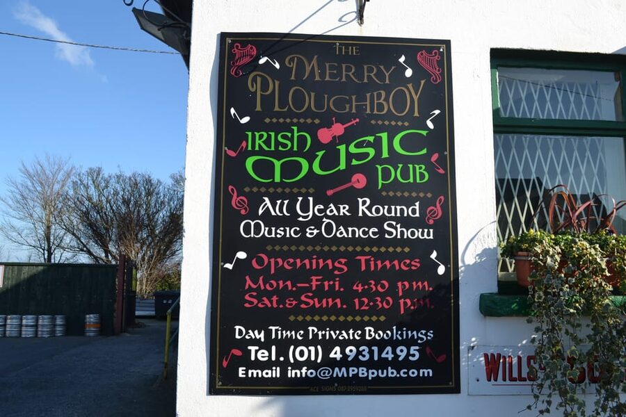 Dublin: Irish Night Show at the Merry Ploughboy Pub - The music: songs, ballads, and traditional instruments