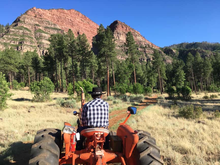 Durango: Bar D Chuckwagon Supper and Show Ticket - Activities before dinner: what is included