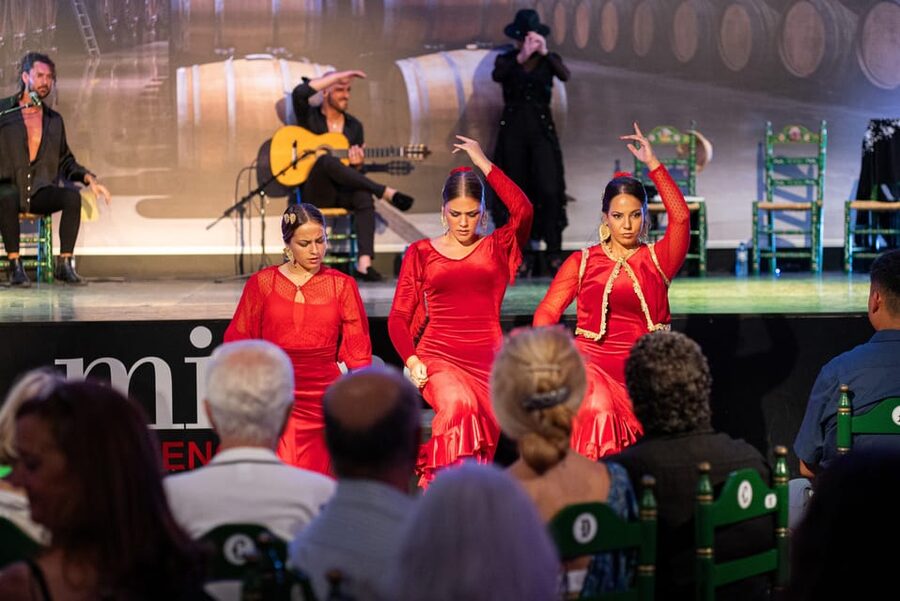 Estepona: Andalusian Flamenco Show Entry Ticket with Drink - What the Mi Caseta Flamenco evening is really like