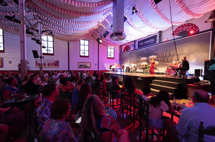Estepona: Andalusian Flamenco Show Entry Ticket with Drink - Who will enjoy this most