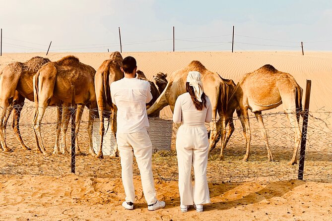 Evening Desert Safari Abu Dhabi with BBQ Dinner & Shows - Bedouin-style camp activities