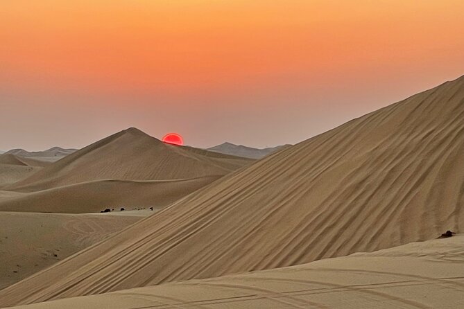 Evening Desert Safari Abu Dhabi with BBQ Dinner & Shows - BBQ dinner with Emirati and Western choices