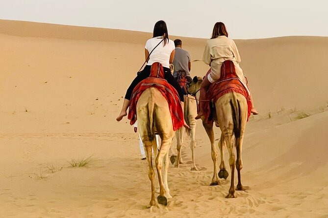 Evening Desert Safari Abu Dhabi with BBQ Dinner & Shows - Belly dance, fire, and tanoura after dark