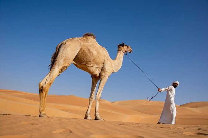 Evening Desert Safari Abu Dhabi with BBQ Dinner & Shows - Who will enjoy this desert safari most?
