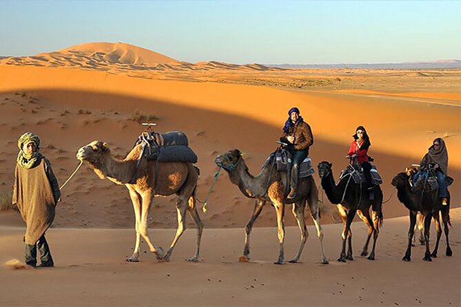 Evening Desert Safari Dubai with Belly Dance & BBQ Dinner - Dinner, refreshments, and the evening shows
