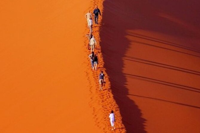 Evening Desert Safari with Belly Dance and BBQ Dinner and Camel Ride - BBQ buffet dinner and drinks