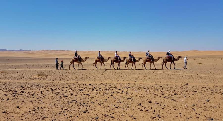 Evening Marrakech: Agafay Desert Quad , Camel & Dinner Shows - What to pack for dust, sun, and cool air