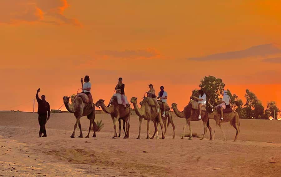 Evening Marrakech: Agafay Desert Quad , Camel & Dinner Shows - Music, dancing, and the fire show