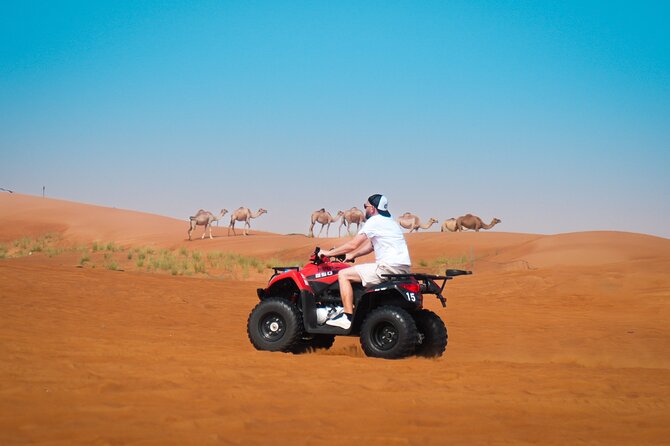 Evening Quad Bike, Desert Safari in Dubai , BBQ Dinner and Shows - Dune bashing across Lahbab’s high sand