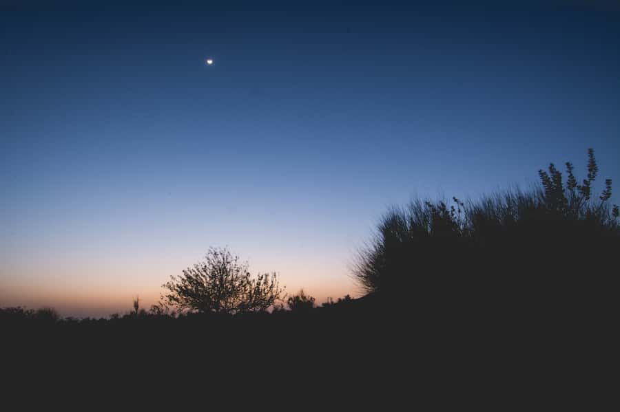 Exclusive Musical Evening at Desert Luxury Camp (NO CAMEL) - Should you book this Jaisalmer desert evening?