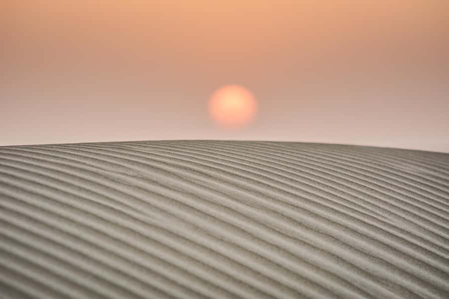 Exclusive Musical Evening at Desert Luxury Camp (NO CAMEL) - How the guide can shape the evening