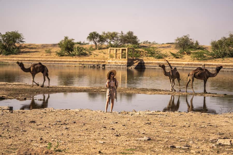 Exclusive Musical Evening at Desert Luxury Camp (NO CAMEL) - Crossing the Thar Desert by 4X4 Jeep