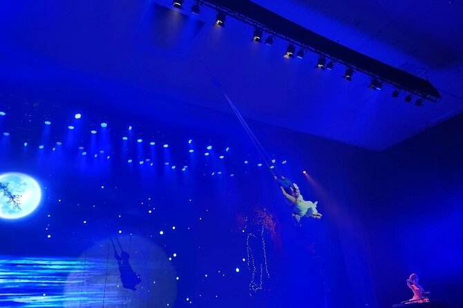 Experience Da Nang Charming Da Nang Show Ticket - Is $22 a fair price?